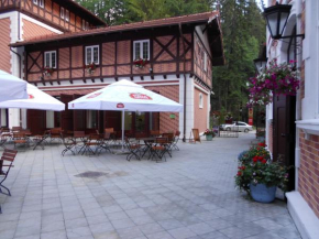 Гостиница Hotel Bastion, Синая